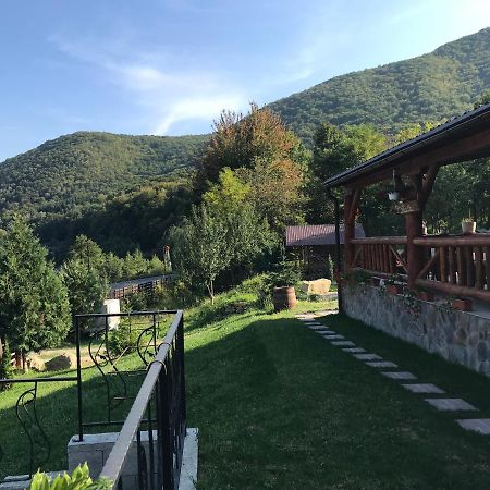 La Butuci Hotell Tîrgu Ocna Exteriör bild